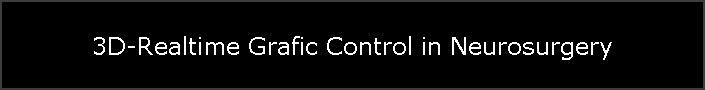 3D-Realtime Grafic Control in Neurosurgery